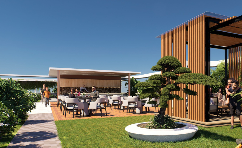 Terrace Zone